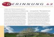 Die GGERINNUNG 43 - coaguchek.de · 2 Inhalt/Editorial In dieser Ausgabe Editorial Der neue CHA 2 DS 2-VASC- Score Dr. med. S. Hochreuther und Prof. Dr. med. Ulrich Tebbe erklären,