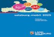 Salzburg mobil 2025-Vorlage-8 druck-freigegeben - … 2025 identifizierten Problemfeldern und Handlungsschwerpunkten, bestätigt also die Ziele, die Strategie und das Maßnahmenprogramm
