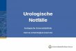 Notfälle in der Urologie - Startseite: Uniklinik Essenuk-essen.de/fileadmin/Urologie/PDF/studenten/NotfaelleWS... · 2011-12-29 · Therapie des Priapismus • Peniswurzelblock,