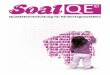 Qualitätsentwicklung für Kindertagesstätten - soal.de · Entstehung und Schwerpunkte der SOAL Qualitätsentwicklung Der Alternative Wohlfahrtsverband Sozial und Alternativ SOAL