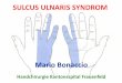Mario Bonaccio - formation.swisshandsurgery.ch ulnaris_01.pdf · Motorik Subjektive Schwäche Messbare Schwäche ... Ellbogen ap / seitlich , (Sulcus-Aufnahme) ... 2 PD 