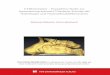 CT-Rhinometrie : Prospektive Studie zur Nasenatmung anhand ...geb.uni-giessen.de/geb/volltexte/2013/9374/pdf/SchmalenbeckStefan... · Ca Cavum anterior CFD Computational Fluid Dynamics