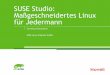 SUSE Studio: Mageschneidertes Linux f¼r Jedermann .General Disclaimer This document is not to