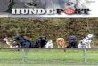 Hundepost 1 2016 - kgwinterthur.ch · Auf der 500m-Fährte nach TKJ wurden 11 Gespanne gemeldet, geprüft wurden 11 Gespanne, bestanden haben 6 Ge-spanne. Es sind dies: Bertschinger