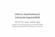 Uterus myomatosus/ Extrauteringravidität - uksh.de/Lübeck... · Transvaginaler Ultraschall Diagnostiche Laparoskopie Transabdominaler Ultraschall CT, MRT. Mögliche Lokalisationen