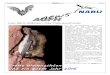 AGFH - nabu-lampertheim.de · Ausgabe 8 / Dezember 2014 AGFH news Seite 5 Workshop Bioakustik Analyse von Fledermausrufen zur Artbestimmung Einladung zum „Bioakustik Workshop in