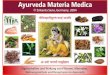Ayurveda Materia Medica · Verbreitung durch Film, Funk, Fernsehen, photomechanische Wiedergabe, Tonträger jeder Art, elektronische Medien sowie für auszugsweisen Nachdruck. Auﬂage