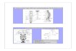 Organisation des RM auf verschiedenen Schnittebenendanner/tutorium/pharma/Schmerz-Analgetika.pdf · Spinale Nerven bestehen aus einer dorsalen und ventralen Wurzel Verzweigung eines