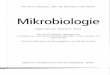 Mikrobiologie - gbv.de file1 Mikroorganismen und Mikrobiologie 1 14 Prokaryotische Vielfalt: Archaea 607 2 Makromoleküle 33 15 Stoffwechselvielfalt 63 9 3 Zellbiologie 55