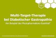 Multi-Target-Therapie bei Diabetischer Gastropathie .Multi-Target-Therapie bei Diabetischer Gastropathie