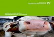 MODULHANDBUCH Landwirtschaft (Triesdorf)modul.online.hswt.de/modulhandbuch/Module-LT_20152.pdf · CHEMIE (282151010) Fakultät Landwirtschaft, Lebensmittel und Ernährung Studiengang
