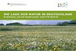 DIE LAGE DER NATUR IN DEUTSCHLAND - bmu.de · lichen einen Vergleich mit dem vorherigen Bericht. Für die Vogelschutz-Richtlinie wird der Bericht . erstmalig in einem neuen Format