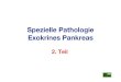 Spezielle Pathologie Exokrines Pankreas · chron. rezidivierender Pankreatitis Makro: Massenstühle mit Steato-, Amylo- und Kreatorrhoe, dünn-breiiger übelriechender Kot, Tiere
