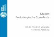 Magen Endoskopische Standards - gratzer.cc · •OLGA (operative link for gastritis assessment) / OLGIM (operative link on gastric intestinal metaplasia assessment) 2008/2010: Stagingsystem