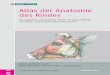 Atlas der Anatomie des Rindes - · PDF fileunserem bewährten Vorgehen wird die Spezielle Anatomie in diesem Atlas mit kurzgefassten Daten in Tabellen zur Myo-, Arthro-, Lym- pho-