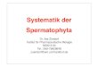 Systematik der Spermatophyta - Goethe-Universitätuser.uni-frankfurt.de/~dingerma/Podcast/Systematik_SS10_1.pdf · (Gymnospermae) Abies Tsuga Cedrus Larix Pseudotsuga Picea Pinus