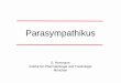 Parasympathikus - fs.tum.dedanner/tutorium/pharma/Parasympathikus_2005.pdf · Cholinerge Synapse Transmitterfreisetzung (allgemein) 1. spannungsabhängige Na-Kanäle leiten AP zur