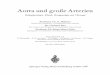 Aorta und große Arterien - Springer978-3-642-49155-9/1.pdf · Vorwort Viele grundlegende experimentelle Erkenntnisse der Gefäßchirurgie, der Ausarbeitung der Nahttechnik und der