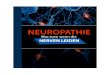 Neuropathie – Was tun wenn die Nerven leiden fileEinführung Ich erinnere mich noch, wie ich als Junge durch Automagazine geblättert habe und davon geträumt hatte, ein prall-roten