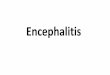 Encephalitis - kinderintensiv.at fileEncephalitis: 1.Einführung (Symptome, Erregerübersicht und pathophysiologische Prozesse) 2.Encephalitis durch direkten Virusbefall des ZNS (Bsp