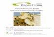 Entschwefelung von Biogas in landwirtschaftlichen … · Entschwefelung von Biogas in landwirtschaftlichen Biogasanlagen 2 Einleitung Mit der Weiterentwicklung der Biogastechnik in