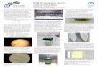 PHB-Produktion durch Süßwasseralgentechnik-garage.de/wp-content/uploads/2018/05/MF_Berlin2018Poster_b.pdf · Arthrospora verwendete Medium als “Spirulina-Medium” bezeichnet