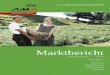 03 MB0 Juli 2013 - Intro | AMA - AgrarMarkt Austria · 2015-05-19 · Marktbericht der Agrar Markt Austria für den Bereich Obst und Gemüse 7. Ausgabe vom 27. August 2013 2 INHALT