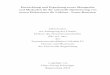 Entwicklung und Erprobung neuer Messgeräte und Methoden ...epub.uni-regensburg.de/10370/1/hgs.pdf · Entwicklung und Erprobung neuer Messgeräte und Methoden für die rationelle