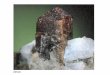System Erde: Entwicklung und Dynamik: Mineralogie · Peridotit, Komateit, …) magmatischen Gesteinen und deren metamorphen Derivaten – Fe-Endglied: Fayalit (Fe 2SiO 4) in “meta-ironstones”