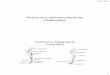 Anatomie und Biomechanik der Gliedmaßen - IAVC · PDF fileAnatomie und Biomechanik der Gliedmaßen ... •Bewegung des Os accessorium: ... of the Femur Lateral Condyle of the Tibia