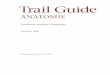 Trail Guide - kvm- .Os sacrum und Os coccygis ..... 282 Das Femur ... Schwerpunkt von Trail Guide