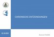 HRONISHE ENTZÜNDUNGEN - semmelweis.husemmelweis.hu/patologia1/files/2018/10/DZ-PATH-GER-20181001-CHRONISCHE... · z.B. chronisches Ulkus, chronische Bronchitis, chronische Pleuritis/Perikarditis,