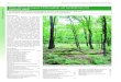 9190 Alte bodensaure Eichenwälder auf Sandebenen mit ... · PDF file144 NATURSCHUTZ UND L ANDSCHAFTSPFLEGE IN B RANDENBURG 23 (3, 4) 2014 Krautschicht oder Bestände, in denen ein