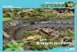 Identitätskarte - Basler Ruder-Club · Die Ringelnatter lebt in Gebieten mit vielen Amphibi-en – ihre Leibspeise. Sie fühlt sich in Feuchtgebieten wohl. Sie braucht aber auch
