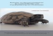 Nachweis von Ranavirusinfektionen bei Landschildkröten und ...geb.uni-giessen.de/geb/volltexte/2011/8065/pdf/UhlenbrokChristine_2010_12_23.pdf · Aus der Klinik für Vögel, Reptilien,