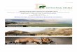 Kleingruppen Safari Abenteuer Namibia 2019 · S e i t e | 1 Kleingruppen Safari Abenteuer Namibia 2019 Swakopmund - Erongo Mountains - Etosha West - Etosha South - Etosha East - Rundu