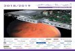 Katalog 2018-2019 der Starline Computer GmbH  · Katalog zu lesen. Seit nun 35 Jahren sind wir zu allen Themen rund um Storage-, Server- und Virtuali-sierungslösungen für Sie da