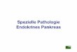 Spezielle Pathologie Endokrines Pankreas · Anatomie: - das endokrine Pankreas besteht aus den diffus im Pankreas verteilten LANGERHANSschen Inseln - sie sind makroskopisch nicht