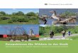 Wildnis in der Stadt - kommbio.de · Deutsche Umwelthilfe e.V. Perspektiven für Wildnis in der Stadt | 5 1.2 Urbane Wildnis Wenn man genau hinsieht, dann stößt man auch mitten