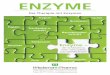 ENZYME - wiedemann-pharma.de · Substrat aktives Zentrum EnzymWied® Enzyme EnzymSubstrat Komplex Enzyme. 6 Wichtige Aufgaben der Enzyme im Körper Bei den für den therapeutischregulativen