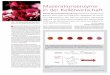 Dr. Eric Hüfner Erbslöh Geisenheim AG - · PDF fileTrenolin Premium Red Plus enthalten. Der verbesserte Aufschluss der Rotweinmaische erlaubt zusätzlich auch mit geringeren Press-