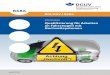 Information 'Qualifizierung für Arbeiten an Fahrzeugen mit ...publikationen.dguv.de/dguv/pdf/10002/i-8686.pdf · Der zunehmende Einsatz von Spannungen oberhalb von 30 V AC und 60
