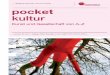 Wolfgang Schneider / Doreen Götzky pocket kultur · 4 — Willkommen bei pocket kultur! Die pocket-Reihe bietet, im handlichen Format, kurze Begriffserklärungen und Darstellungen