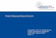 Harnblasenkarzinom - uniklinik-freiburg.de · Nachweis einer Angioinvasion Für die Sicherung einer Angioinvasion bzw. zur Abgrenzung von Artefakten kann eine Immunhistochemie zur