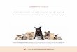 Wundinfektion bei Hund und Katze - GEB-Datenbankgeb.uni-giessen.de/geb/volltexte/2014/10521/pdf/SabrinaVogt_2013_08_13.pdf · SABRINA VOGT WUNDINFEKTION BEI HUND UND KATZE SABRINA