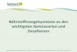 Nährstoffmangelsymtome an den wichtigsten Gemüsearten und ... · Lebosol Dünger GmbH yWiesengasse 28 yD-67471 ElmsteinyTel.: +49 (0) 63 28/ 9 84 94-0 yFax: +49 (0) 63 28/ 9 84