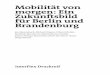Mobilität von morgen: Ein Zukunftsbild für Berlin und ... · dam verteilte einen Fragebogen in elektronischer Form an Expert_innen im Bereich Mobilität, die in der der Region Ber-lin-Brandenburg