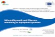 Nährstoffdynamik und Pflanzen- monitoring in Aquaponik ... · Nährstoffdynamik und Pflanzen-monitoring in Aquaponik-Systemen “INAPRO” Innovative model & demonstration based