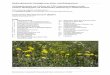 Niedersächsische Strategie zum Arten- und Biotopschutz ...cms2.niedersachsen.de/download/25849/Vollzugshinweis_B46_-_Artenreiche...Niedersächsische Strategie zum Arten- und Biotopschutz
