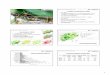 Projekt Herpetofauna NRW - amphibienschutz.de · 1 AK Amphibien und Reptilien NRW K. Weddeling, B. Thiesmeier & Lutz Dalbeck für den AK Amphibien und Reptilien NRW Der Teichmolch